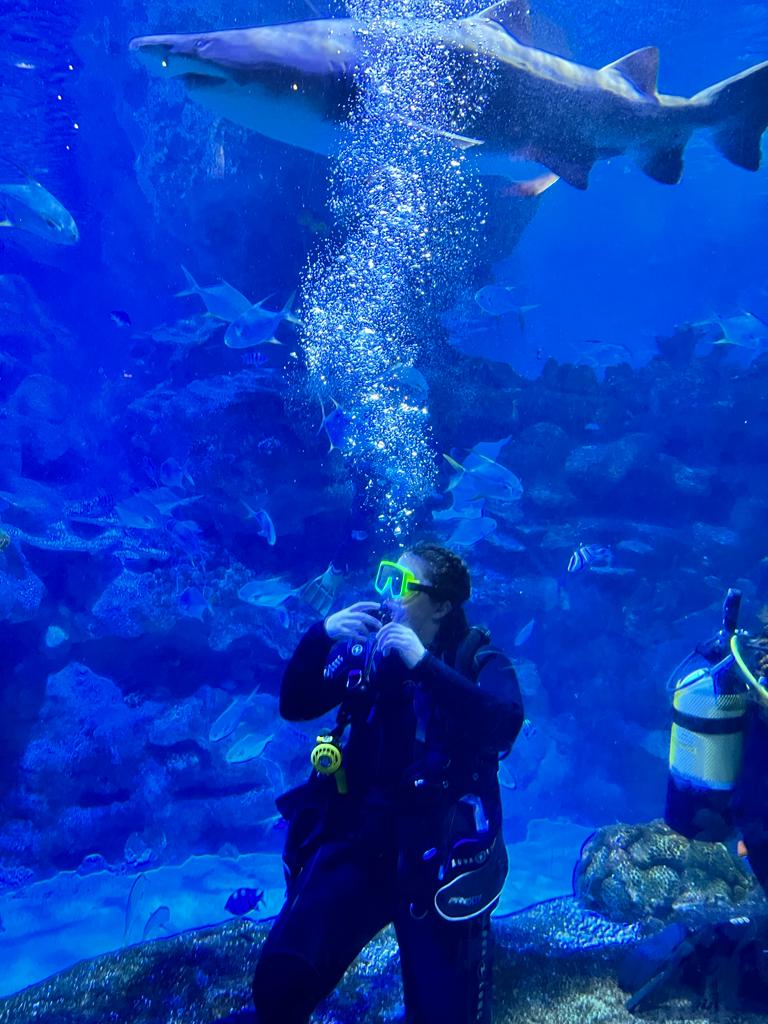 Diving with sharks to raise money for the SIA