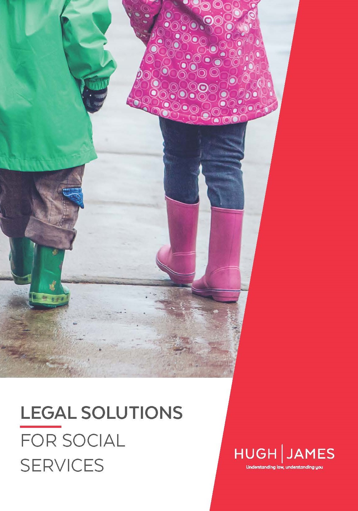 Legal Solutions for Social Services Brochure