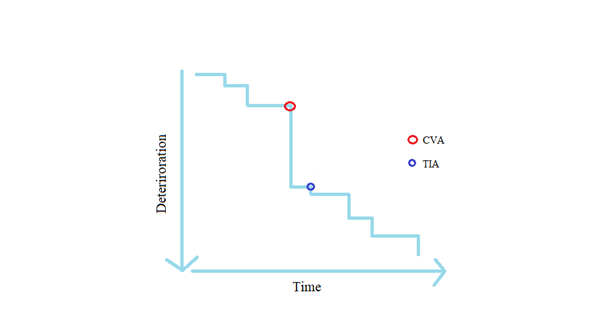 Line graph showing deterioration over time with Vascular dementia as a more stepped-process