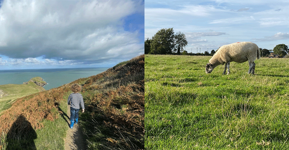 Appreciating the coastal paths and farm life on some of the walks