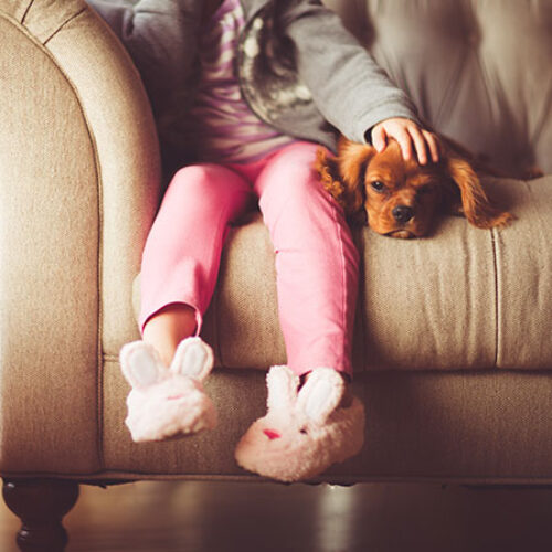 a young girl pets a dog that is resting beside her