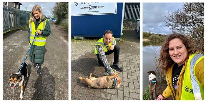 Client relationship officer Olivia Camilleri, Lawyer Yuliia Kucherenko, and Partner and Head of the banking and finance team Dominic Marshall walk the dogs of Cardiff Dogs Home